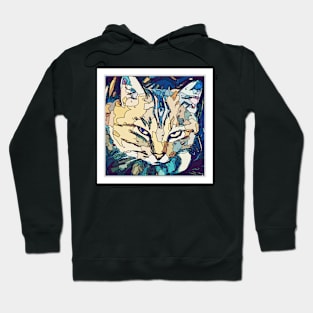 graphic cat Hoodie